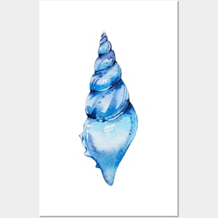 Azure seashell Posters and Art